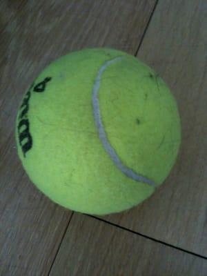 Tennis at Fort Greene Park