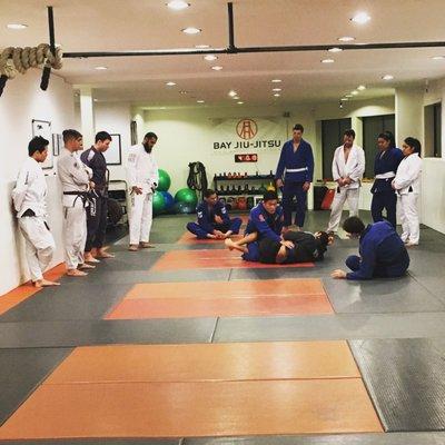 Adults jiu-jitsu class