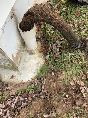 Severely compacted dirt, leaves and debris from what looks to be years of build up. Don't let this happen to your gutters!