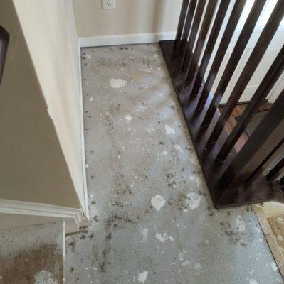 Exposed floor and damage from leak