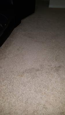 Stains around the couch that weren't removed