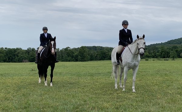 Beautiful day for a horse show!