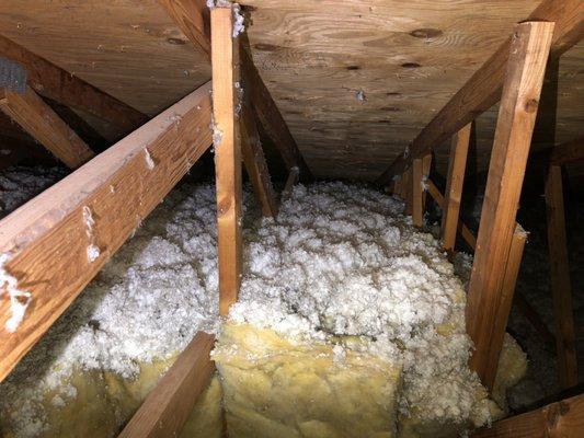 Attic inspections