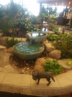 Here at Aquascapes the leader in pond and Pondless water features for classes on building water features.