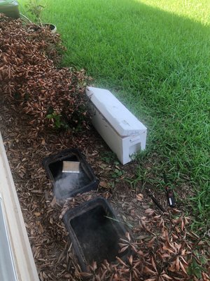 Bees relocation from water cutoff