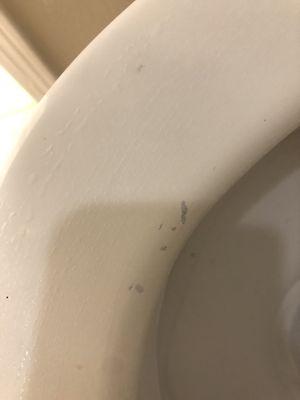 Paint splattered all over the toilet seat to the front door and everywhere in between.