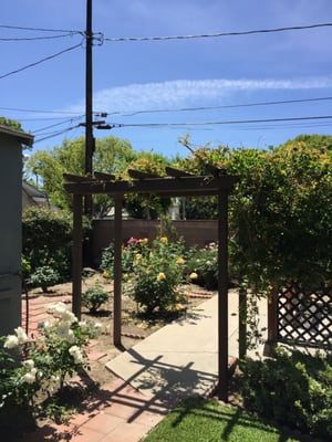 Backyard Trellis