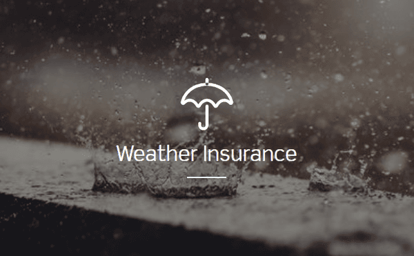 Weather Insurance