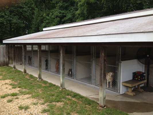 Outside kennel view