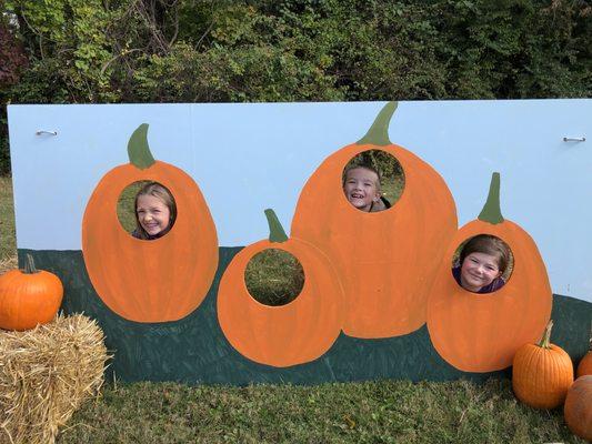 Fall Festival fun!