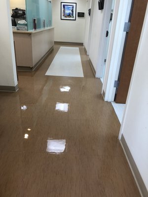 VCT Floorcare