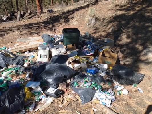 A happy Mountain Man Junk Removal customers yard in Bailey, CO