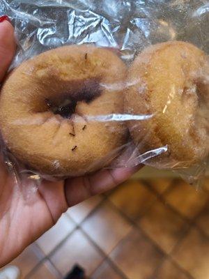 New unopened donuts. i grabbed two in the morning before work and went to go eat them and BAM covered in ants.