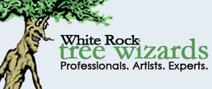 www.treewizards.com East Dallas' finest Dallas Tree doctor!