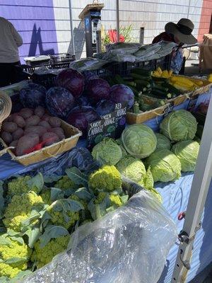 Cabbages, Cauliflower, Squashes at the Inner Sunset Farmer Market San Francisco