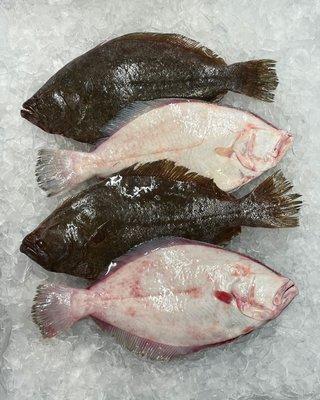 VA/NC Fresh Flounder