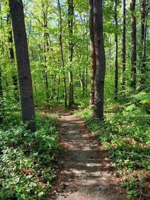 Josias River Public Park