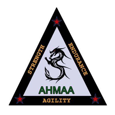 Aim High Martial Arts Academy