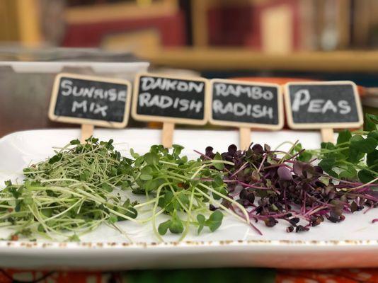 microgreen varieties