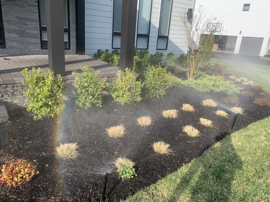 Mulch beds - spray heads