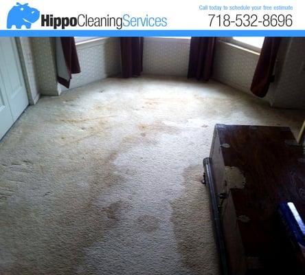 Carpet Cleaning