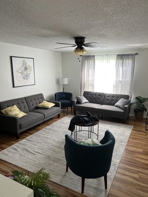 Cleaned and reorganized this customers living room, also pet odor treatment and hair removal.