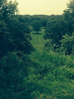 View from 10th tee box. 135 ft above the fairway!