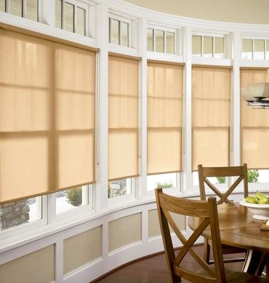 Roller Shades Lexington Kentucky