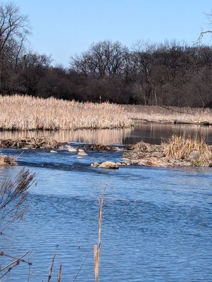 Churchill Woods Forest Preserve