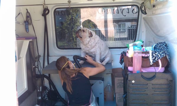 Nigel getting groomed.