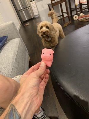 Sofie's favorite piggy toy