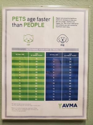 Pets age