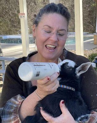 Stephanie feeding one of our baby silky fainting goats, Bubbles.