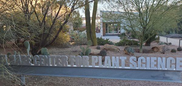 Desert Landscape School