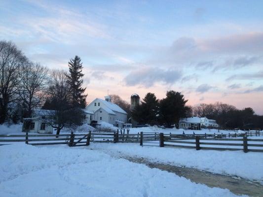 Matlock Farm