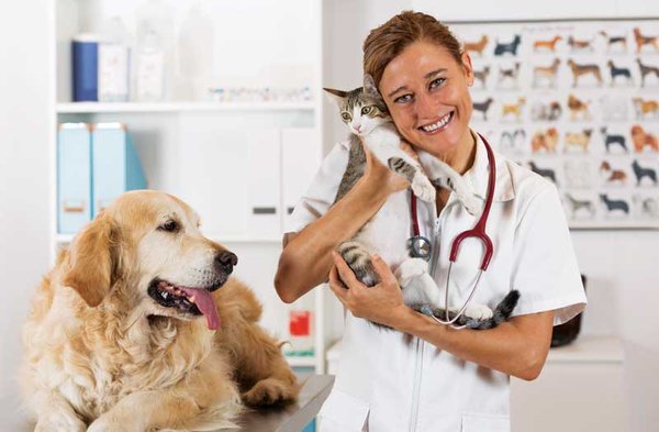 Veterinarian-Nevada