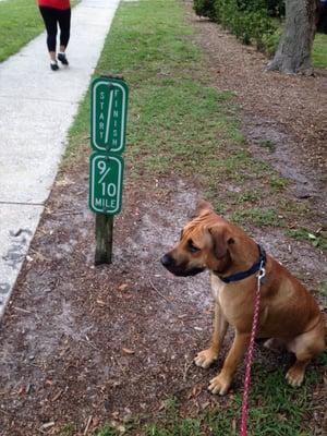 One mile running or walking path with markers. No doggie stations though.