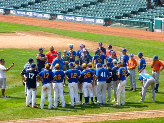 Organized Baseball League