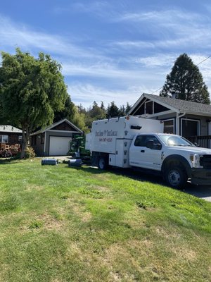 Puget Sound Tree Care