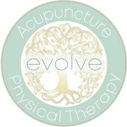 Evolve Acupuncture & Physical Therapy PC Logo.