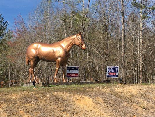 Hammett Horse Farms