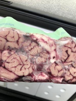 Goat brain