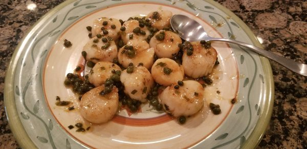 Scallops