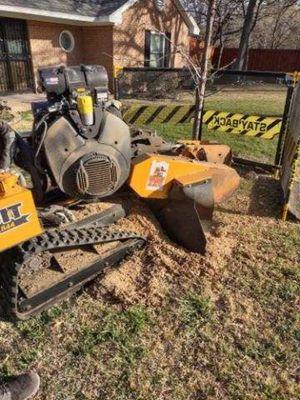 Grinding a 24 inch diameter stump for $100 while using a perimeter guard to protect property.