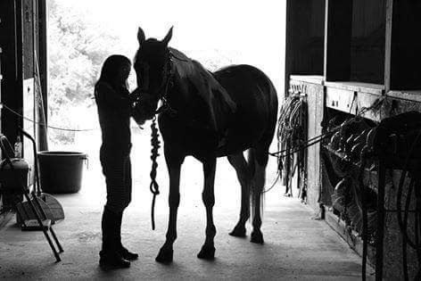 Kings Valley Stables