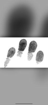 Biometric Fingerprinting