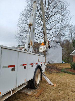 We also offer Tree Services!