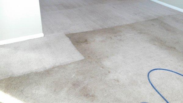 Before and After Photos of an actual client's carpet.