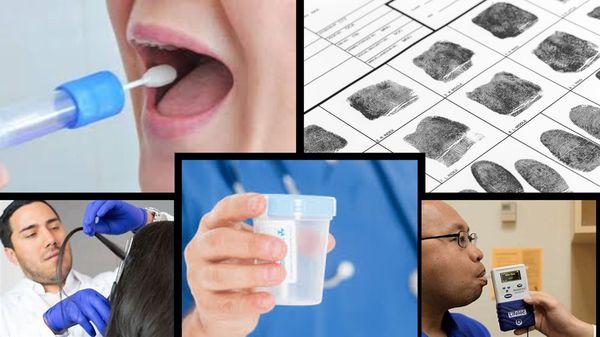 Services: Fingerprinting Drug Testing