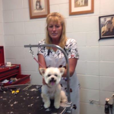 Gina at Puppy Love. 37 years of professional grooming and I still love my job.